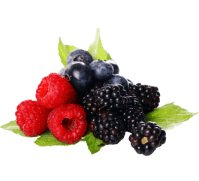 berries
