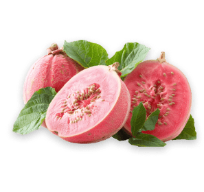 guava